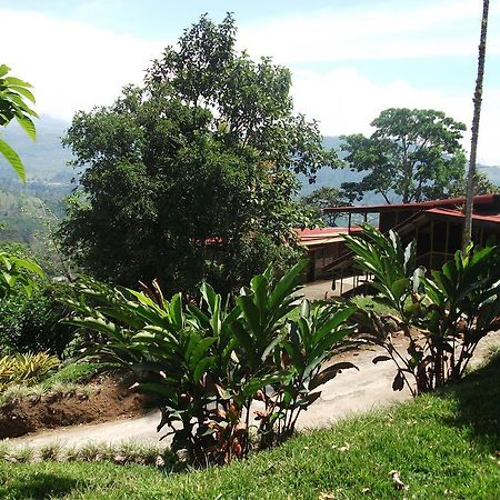 Green Mountain And Lodge Turrialba Exterior foto