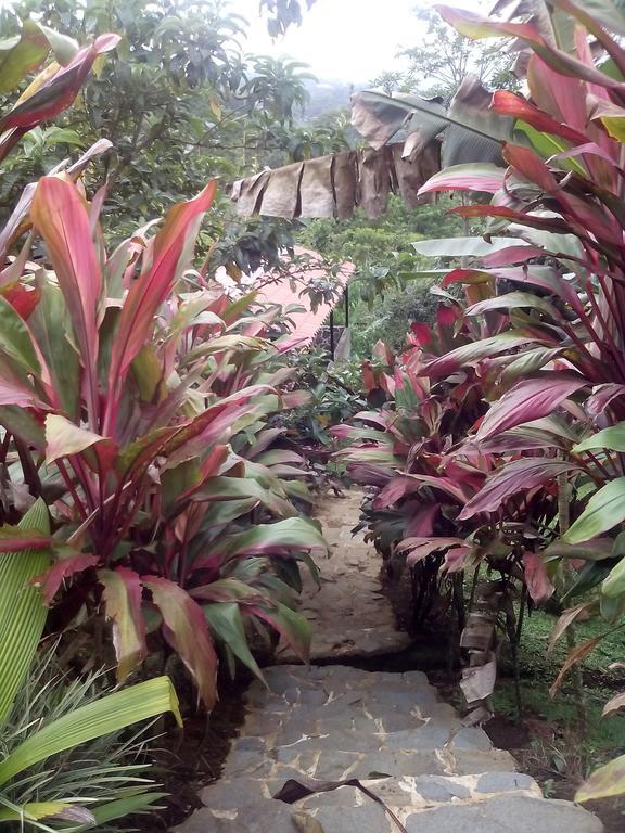 Green Mountain And Lodge Turrialba Exterior foto
