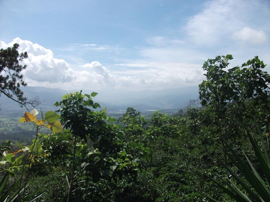 Green Mountain And Lodge Turrialba Exterior foto