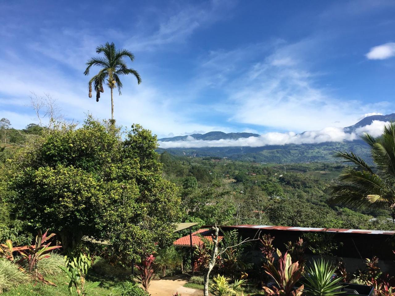 Green Mountain And Lodge Turrialba Exterior foto