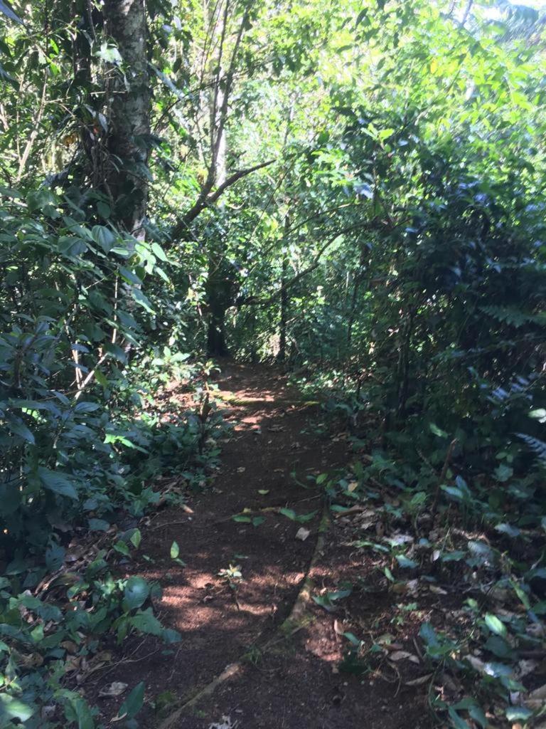 Green Mountain And Lodge Turrialba Exterior foto